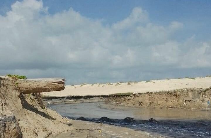 Intensifican vigilancia ambiental en Tamaulipas tras denuncia de contaminación en una playa