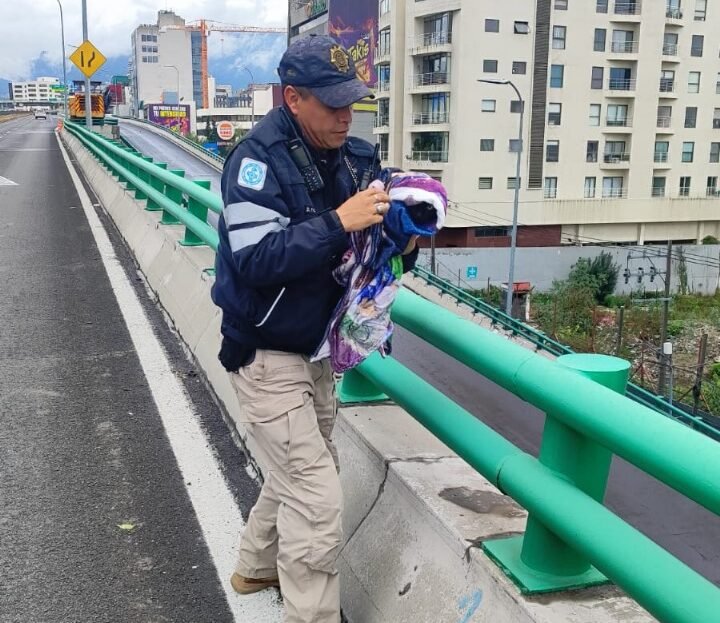 “El gato volador”; rescatan a minino que deambulaba en el segundo piso del Periférico