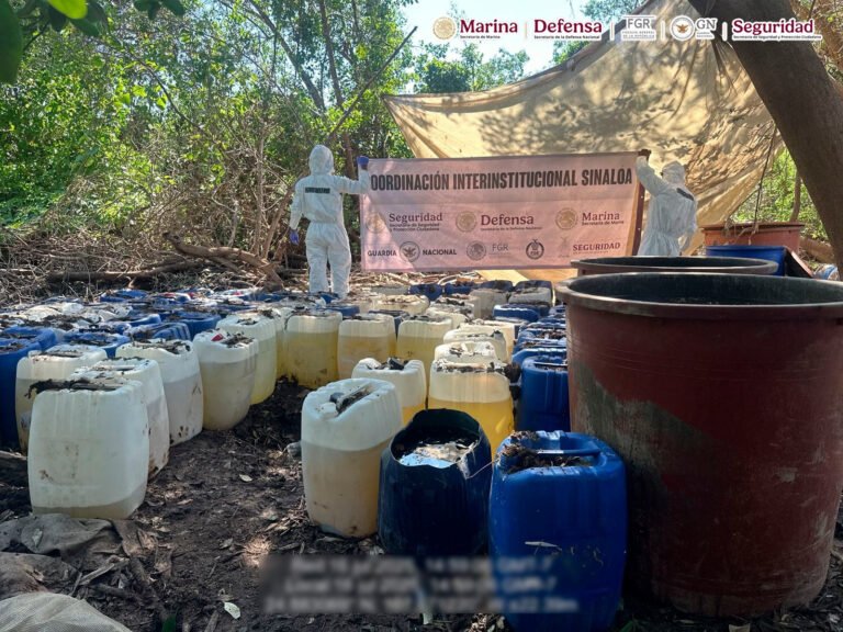 Desmantelan 6 narcolaboratorios y decomisan 4 toneladas de metanfetamina, en la sierra de Sinaloa