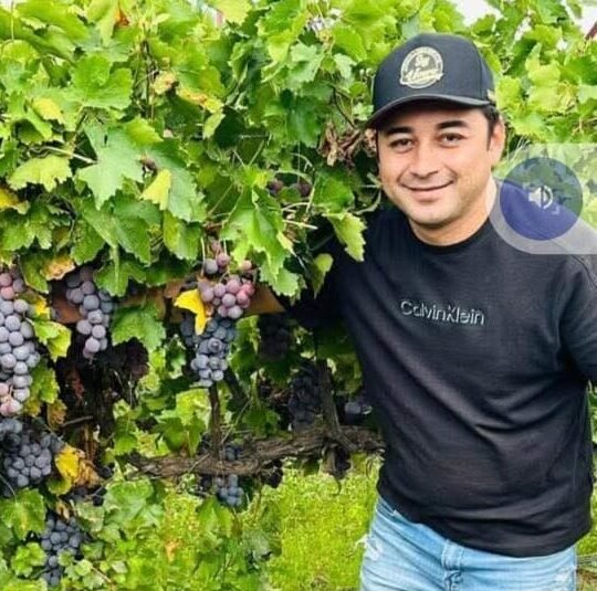 Surge mafia de la fruta con fuerte presencia en Nayarit