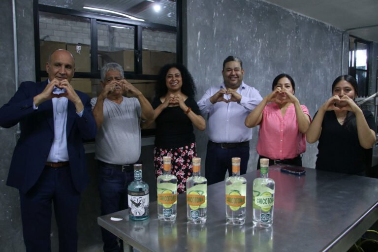 Mezcal poblano llega a Nueva York, con más de 6 mil botellas de espadín y papalometl: AGRICULTURA