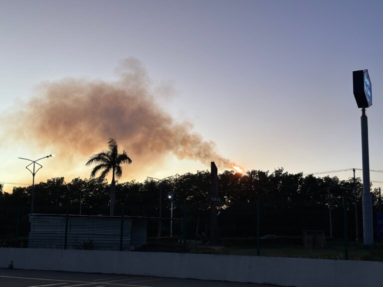 Cultivo de ostión en la Laguna Mecoacán: entre la incertidumbre y los derrames petroleros