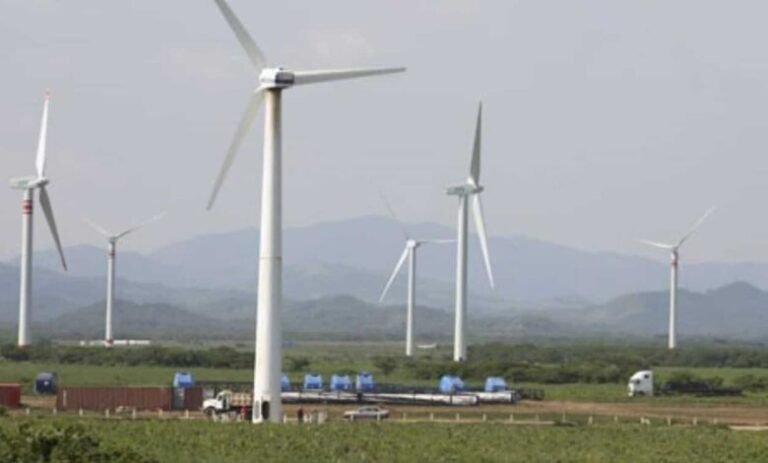 Busca Tamaulipas ser líder nacional en energía eólica