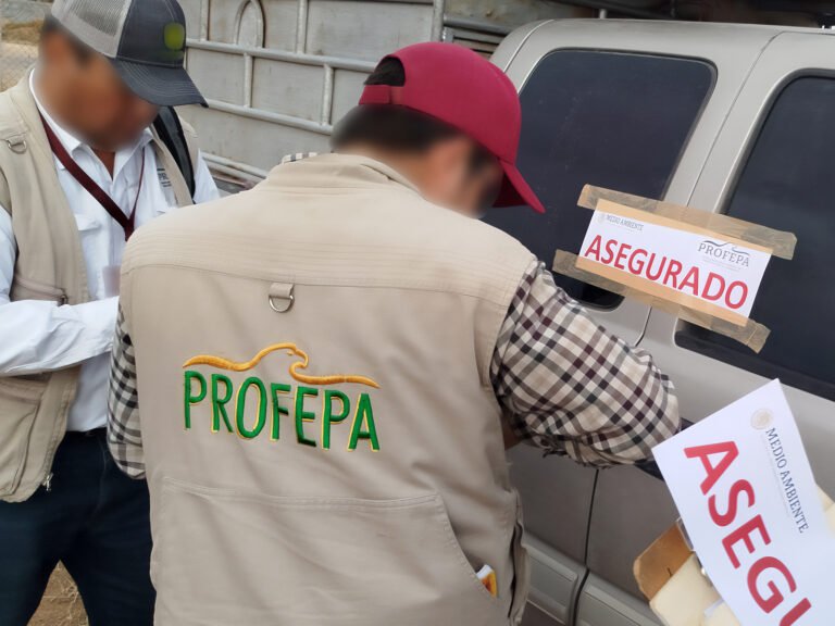 Profepa realiza megaoperativo forestal en 28 entidades