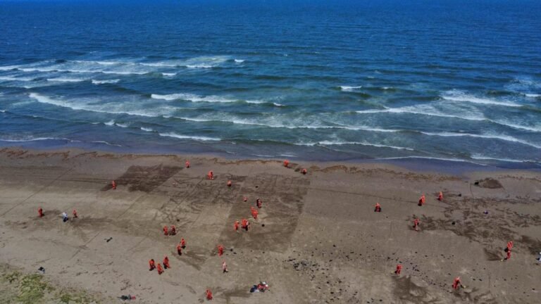 Limpieza salió cara: PEMEX gasta 225 MDP para retirar hidrocarburo en costas de Veracruz y Tabasco