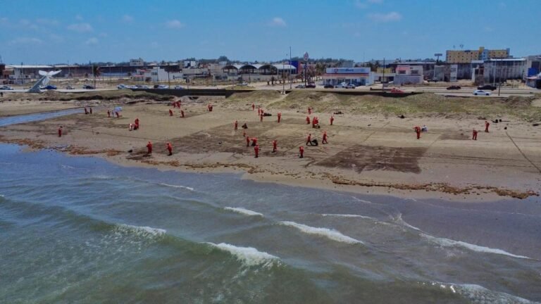 Un buque y dos chapopoteras: origen de hidrocarburo en costas de Tabasco, Veracruz y Tamaulipas