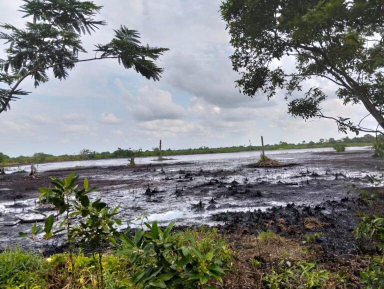 Denuncian contaminación por hidrocarburo en el municipio de Huimanguillo, Tabasco