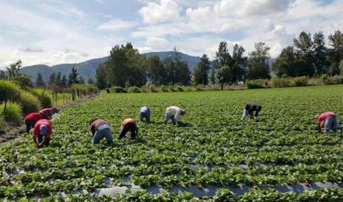 Gobierno del EdoMéx impulsa a 6 mil campesionos con la mejora del programa de Atención a Siniestros Agroclimáticos