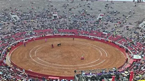 Avalan consulta ciudadana para definir el futuro de las corridas de toros