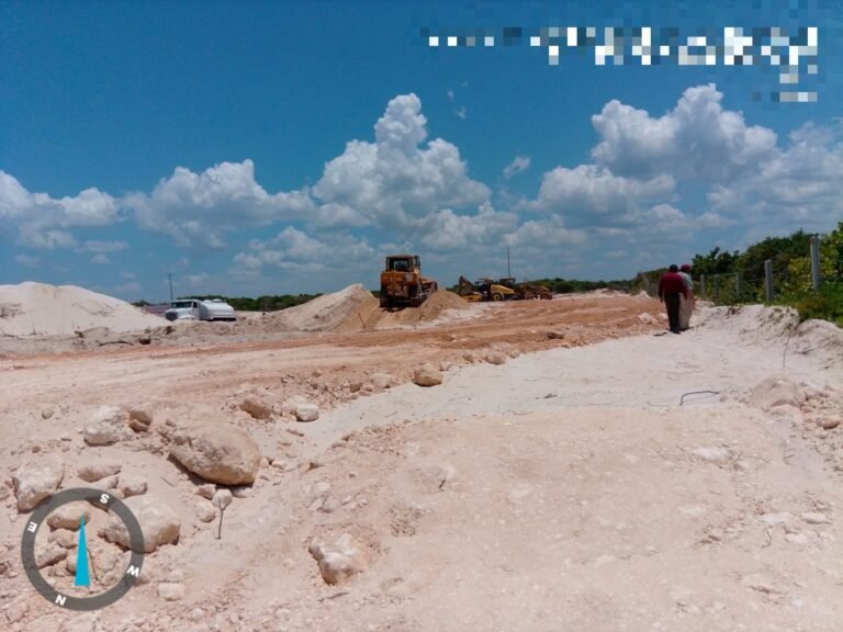 Profepa clausura “Las Dunas” en Chuburná por severos daños a especies protegidas