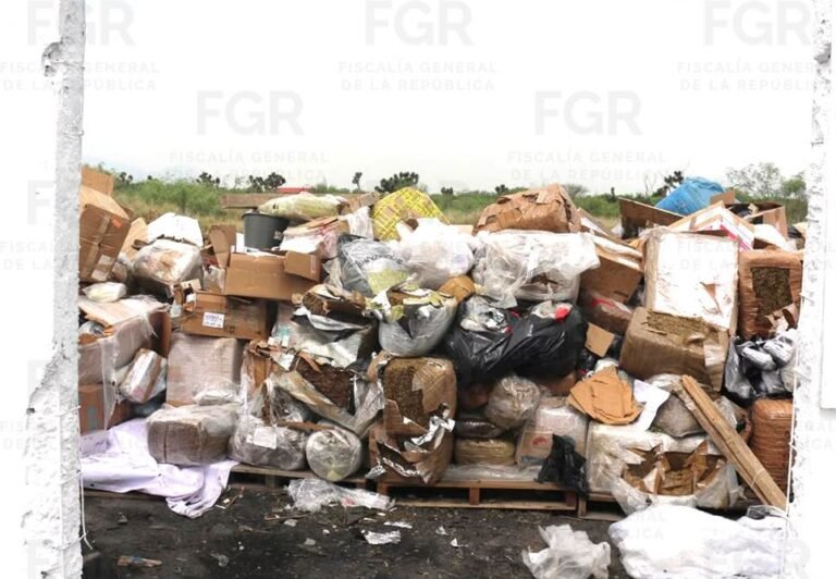 Destruyen más de tres toneladas de narcóticos asegurados en la zona noreste del país