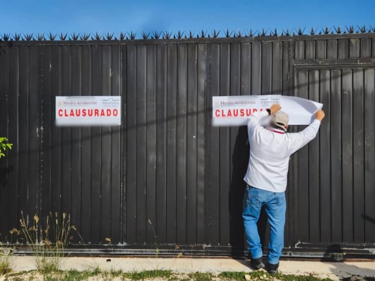 Megaoperativo en Ría Celestún frena devastación ambiental y red de fraude inmobiliario costero