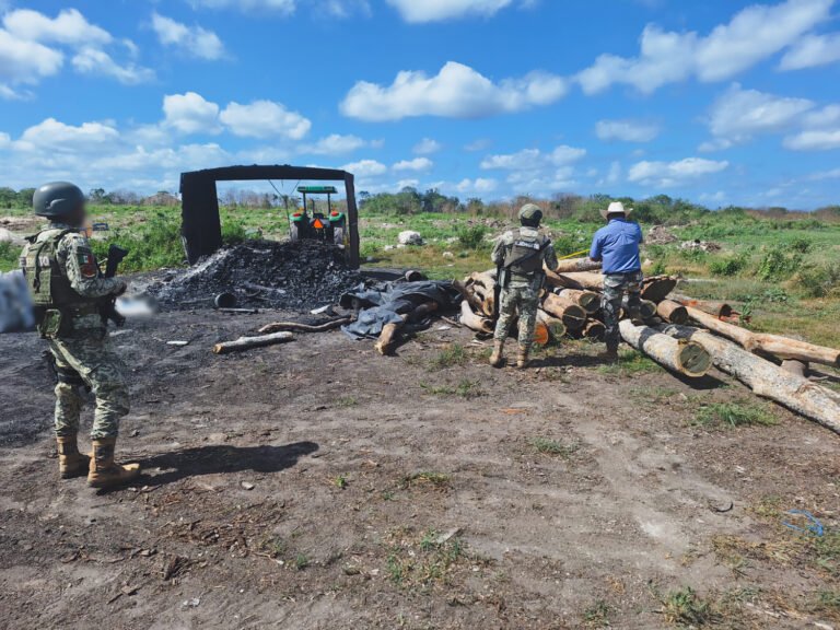 La Profepa suspende dos centros forestales asegurando madera ilegal y carbón vegetal en Campeche