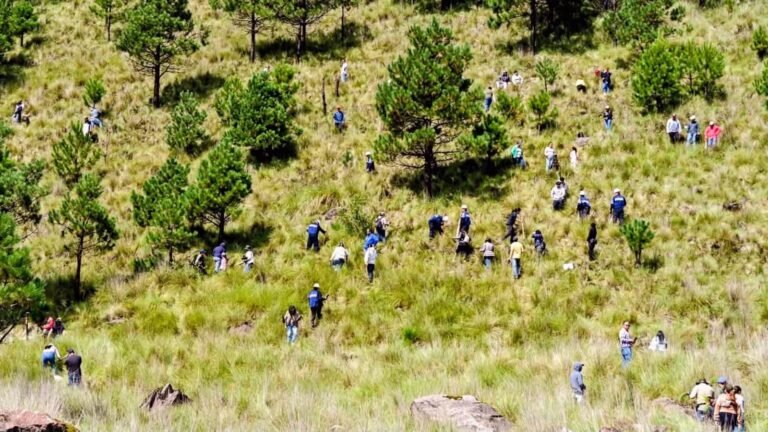 Moctezuma se suma a la Jornada Nacional de Reforestación 2026 con la siembra de 3,000 árboles en Morelos