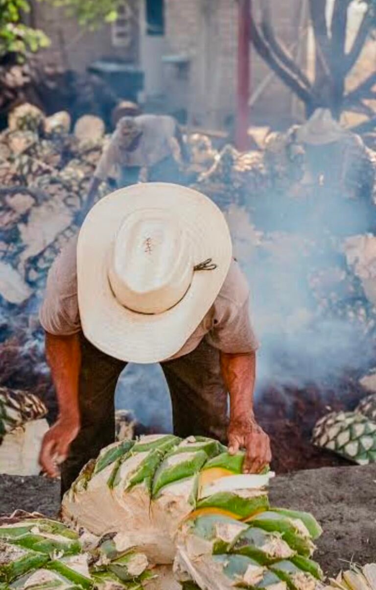 Piden productores de mezcal retomar diálogo sobre cambios al IEPS para evitar afectaciones al sector