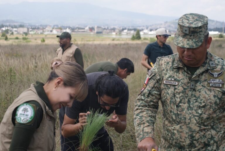 Gobierno del EdoMéx llega a la meta de plantar 100 mil árboles con Mega Reforestación “48 años sembrando vida”