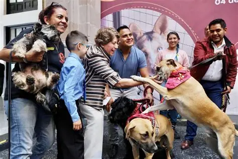 “Tenemos una Gobernadora animalista que defiende con hechos a los seres sintientes”: Horacio Duarte