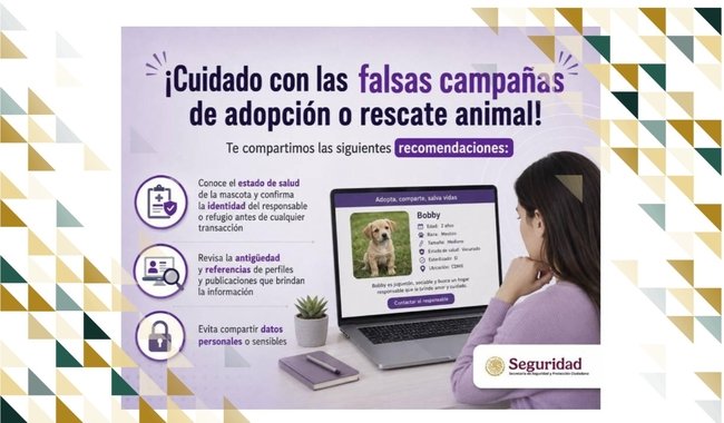 Alertan sobre falsos refugios y fraudes en la adopción de mascotas mediante redes sociales
