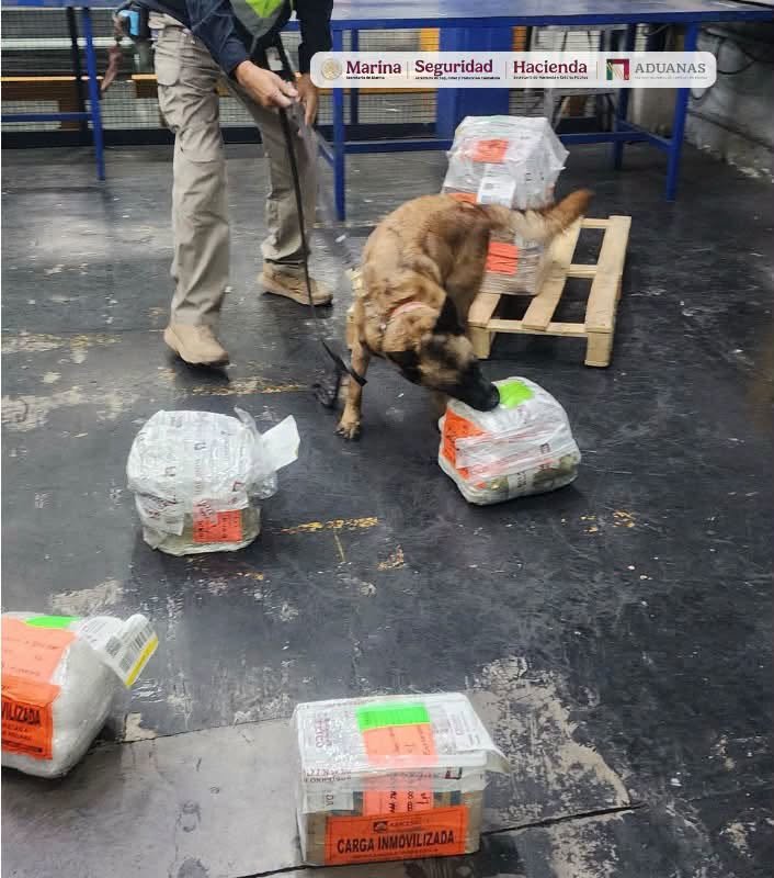 Aseguran cocaína oculta en suplementos alimenticios en el AICM