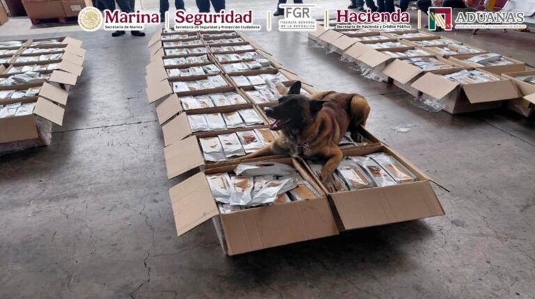 Aseguran presunta cocaína oculta en café en el AICM