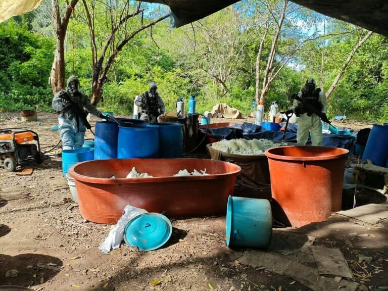 Fuerzas federales inhabilitan laboratorios de drogas sintéticas