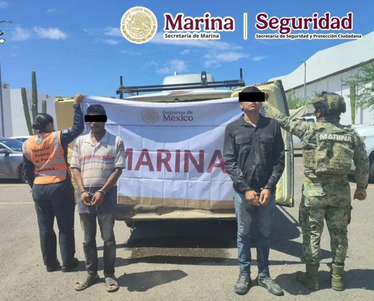 Aseguran almeja en veda y presunta droga en La Paz