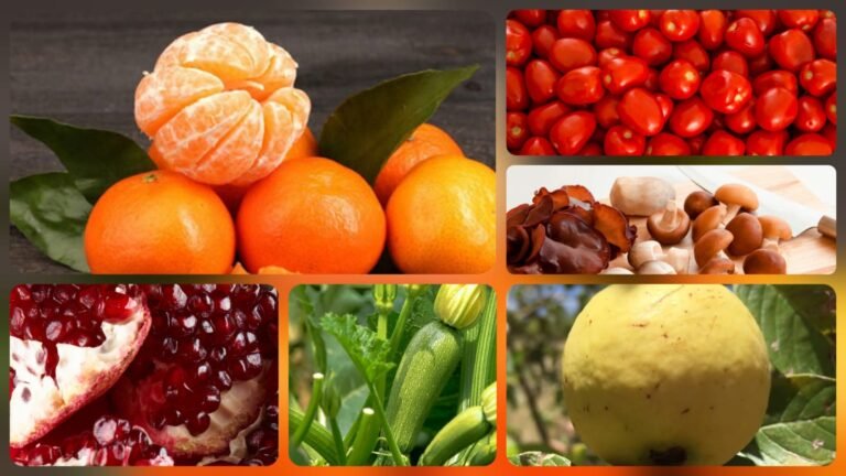 México cosecha en otoño alimentos clave para una dieta saludable