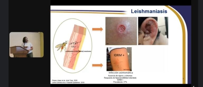 Investigan qué determina el desarrollo de leishmaniasis en Yucatán