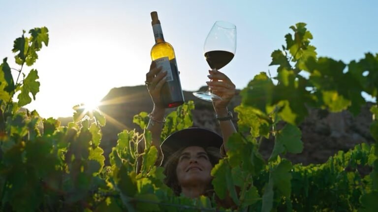 Vino sin Fronteras reunirá a 40 vinícolas de Baja California y California