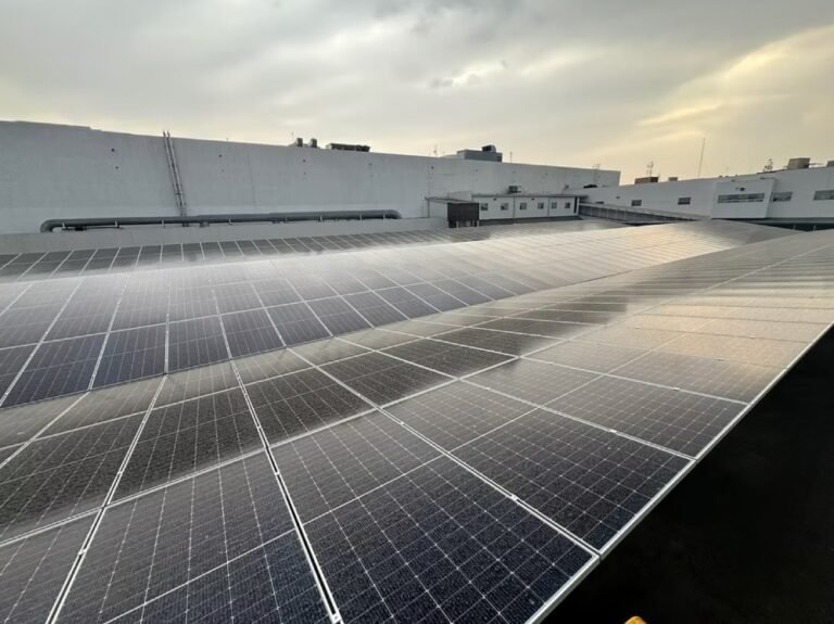 Energía, clave para el futuro del nearshoring en México