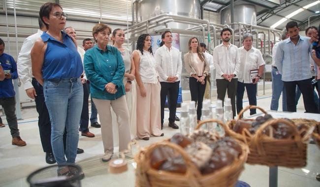 Acuerdan Semarnat y Yucatán alianzas estratégicas para el aprovechamiento integral del sargazo y la restauración costera