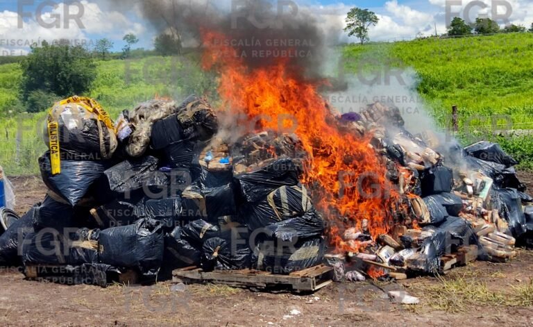 FGR destruye droga valuada en más de 648 mdp en Colima