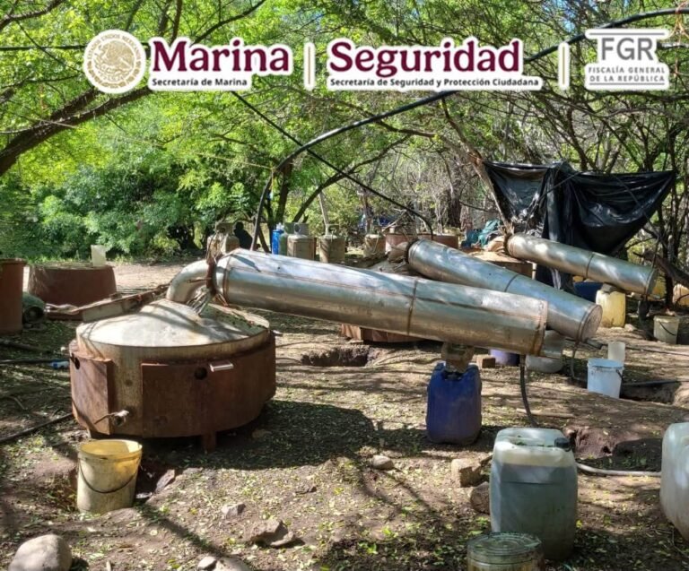 Inhabilitan laboratorio clandestino de drogas sintéticas en Sinaloa