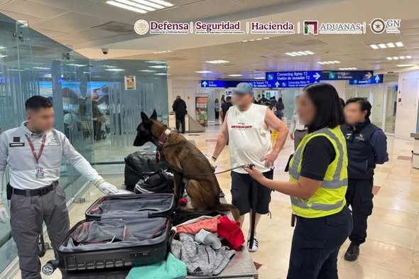 Detienen a pasajero con presunta cocaína oculta en su equipaje en Cancún