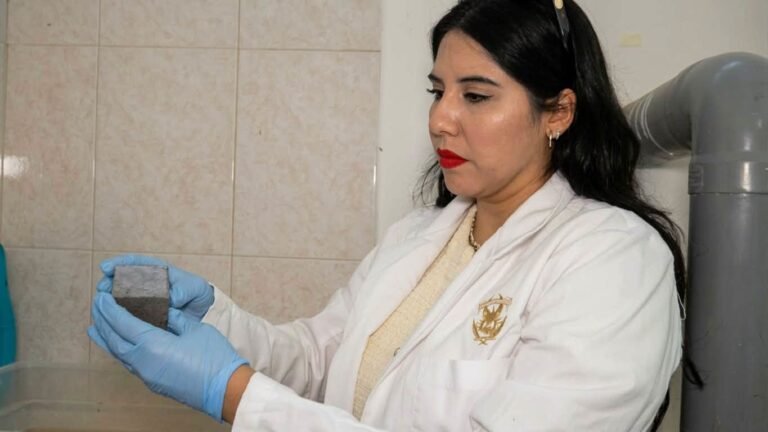 Investigadora de la UAS desarrolla cementos que reducen hasta 60% las emisiones de CO₂
