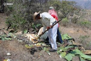 Mezcaleros de Guerrrero