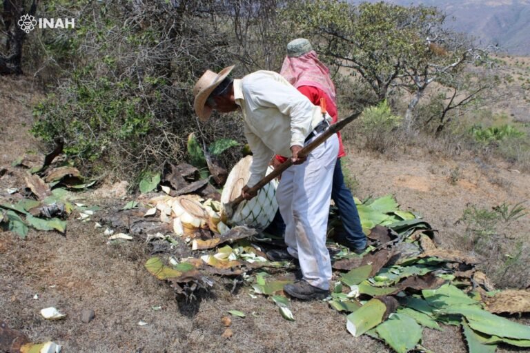 Mezcaleros de Guerrrero